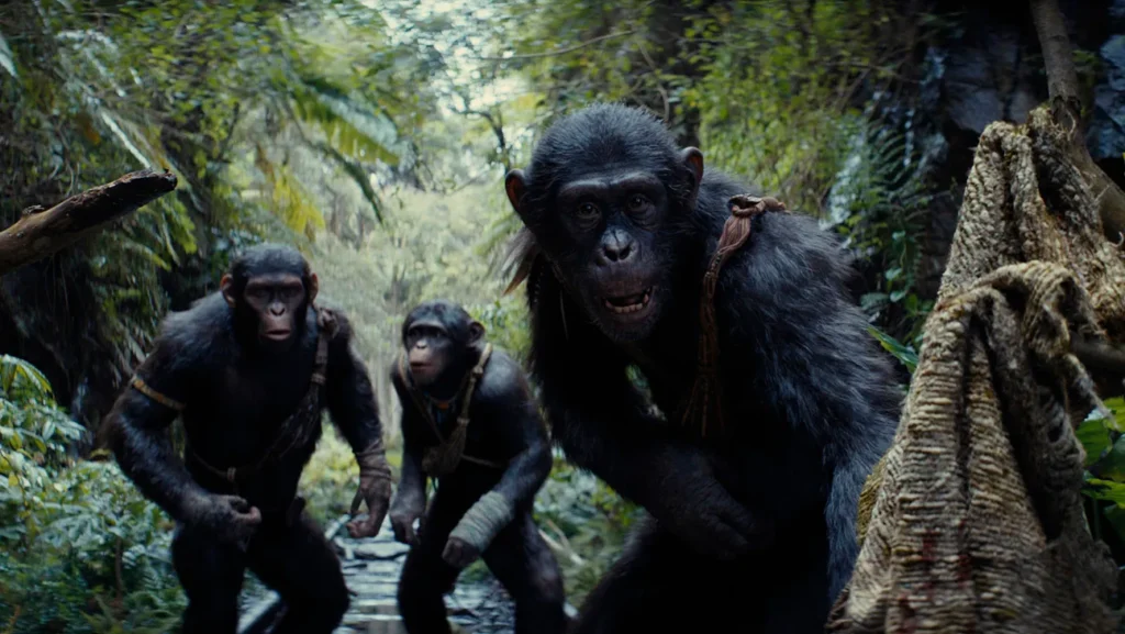 Kingdom Of The Planet Of The Apes